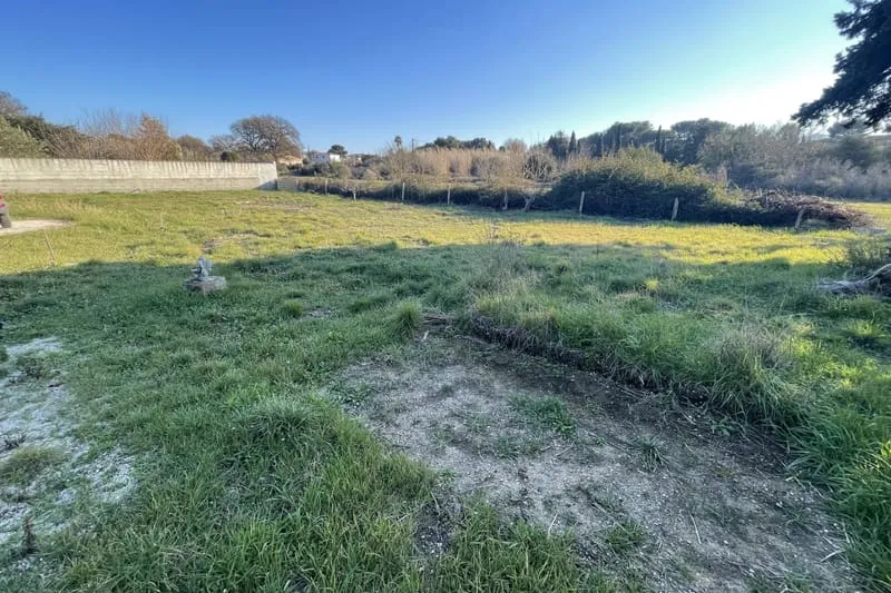 Terrain