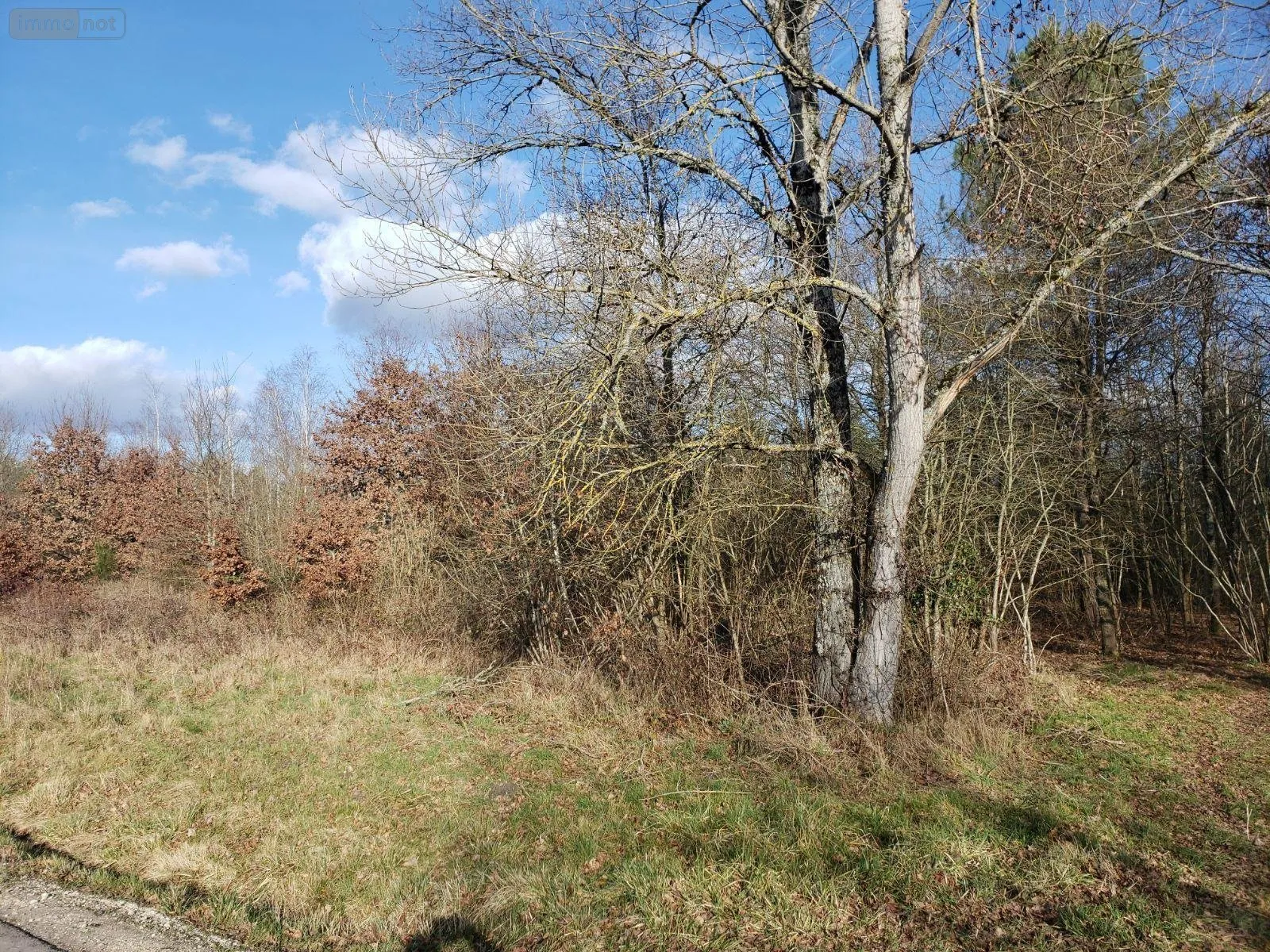 Terrain