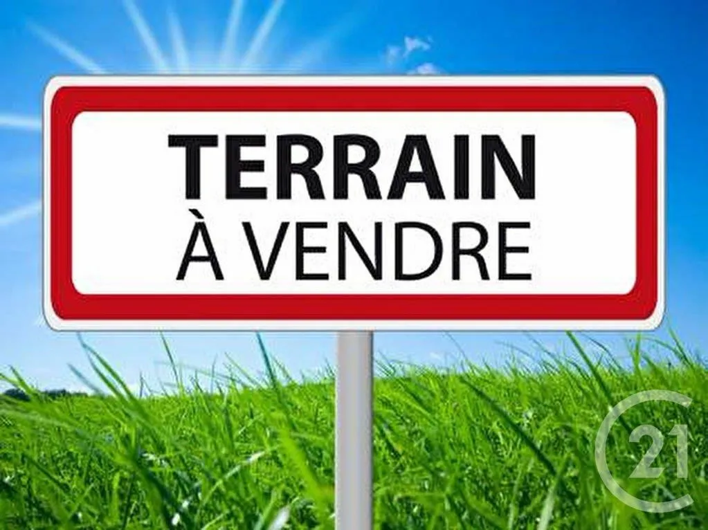 Terrain