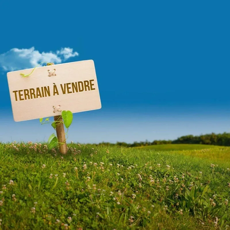 Terrain