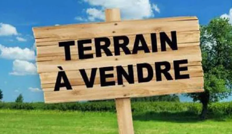 Terrain