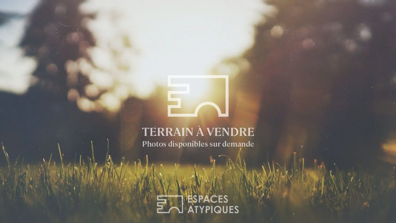 Terrain