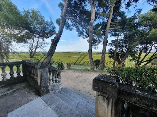 Terrain