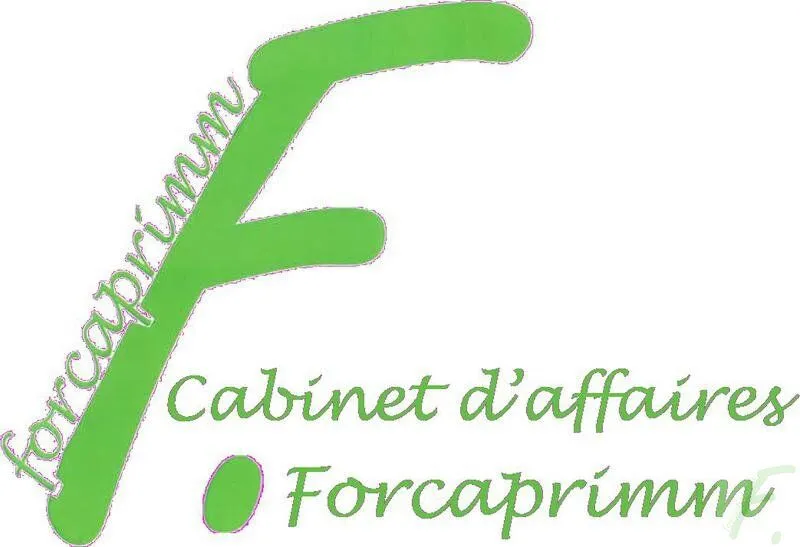 Local d'activité