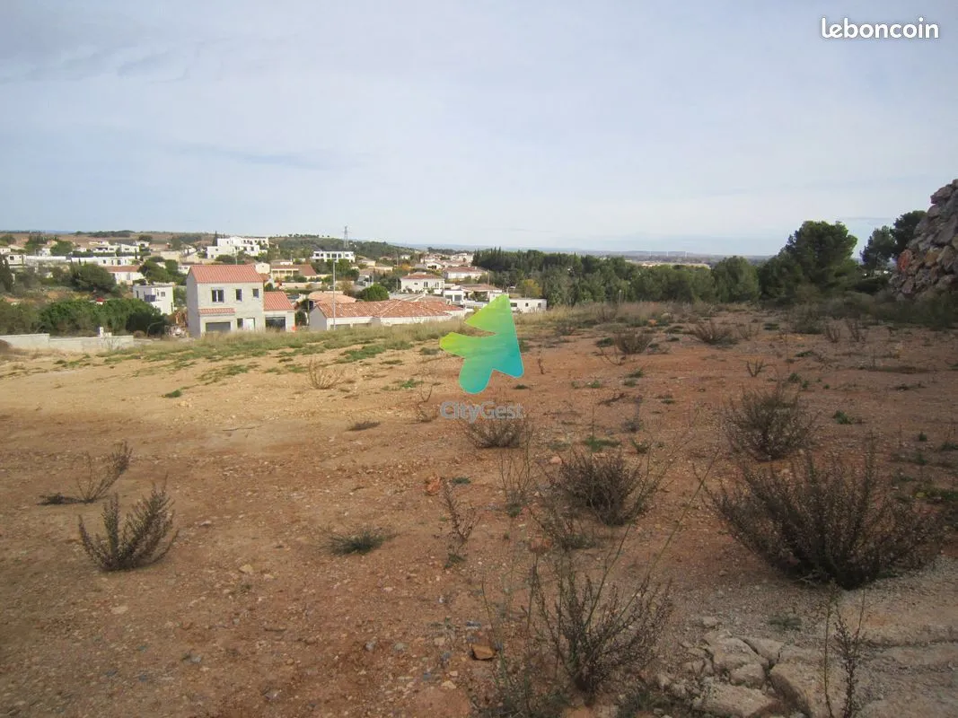 Terrain