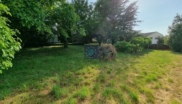 Terrain