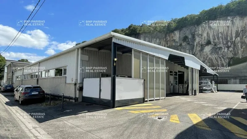 Local d'activité