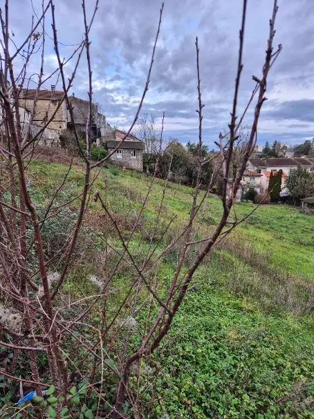 Terrain