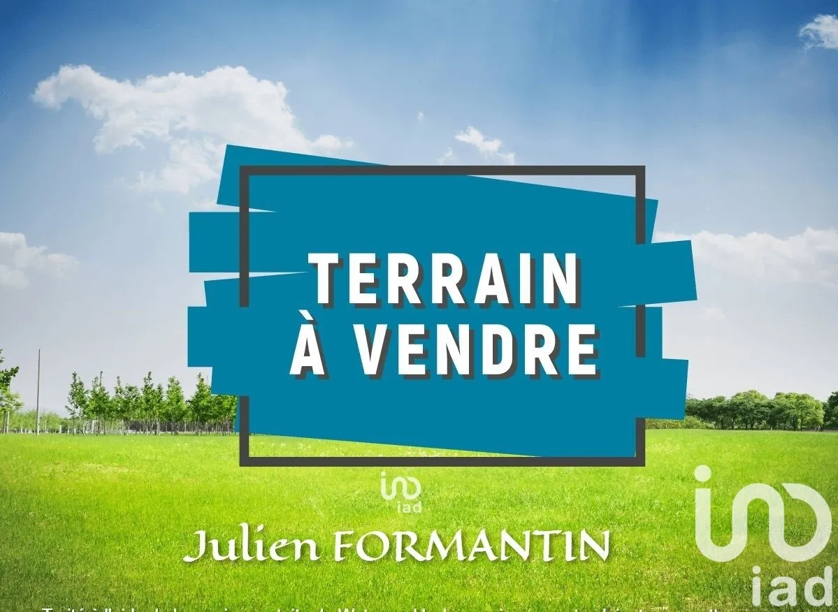 Terrain