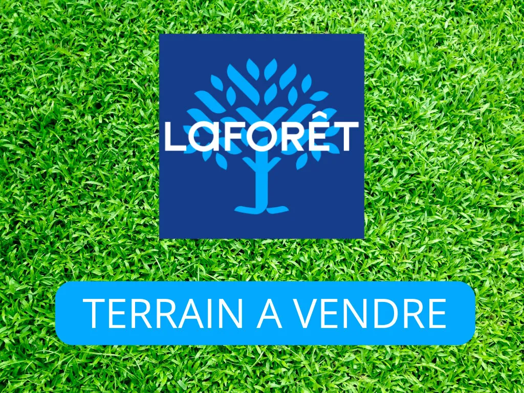 Terrain