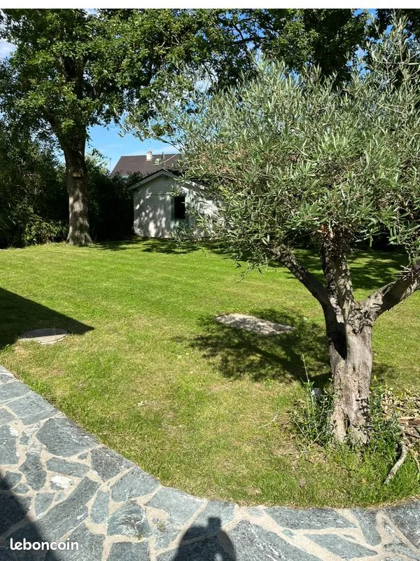 Terrain
