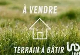 Terrain
