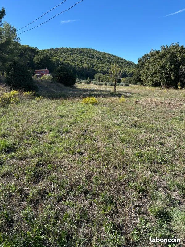 Terrain