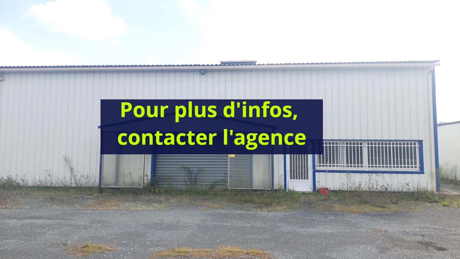 Local d'activité