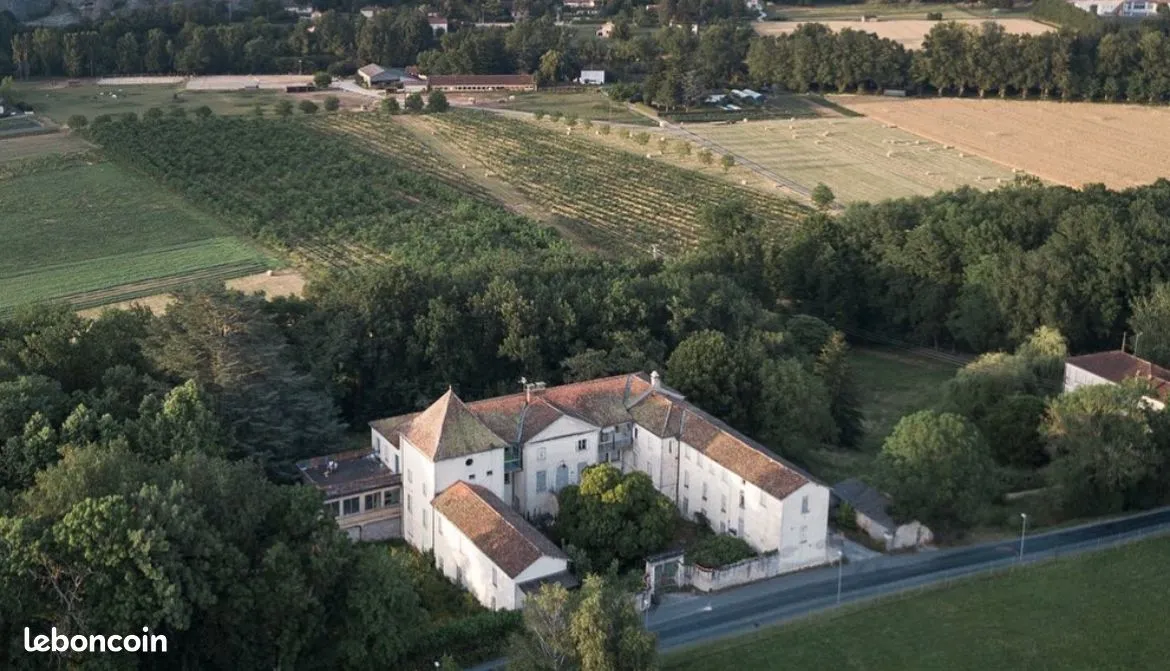 Local d'activité