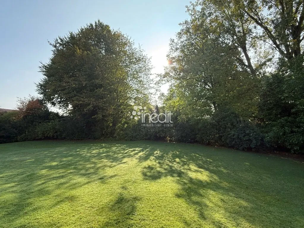 Terrain