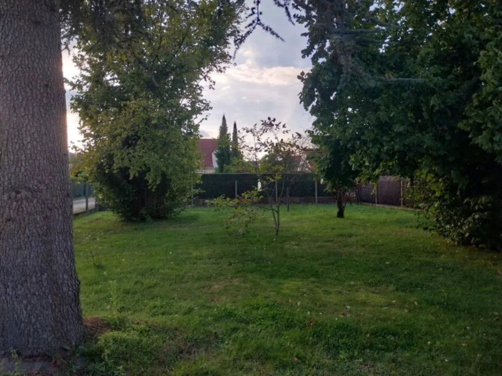 Terrain