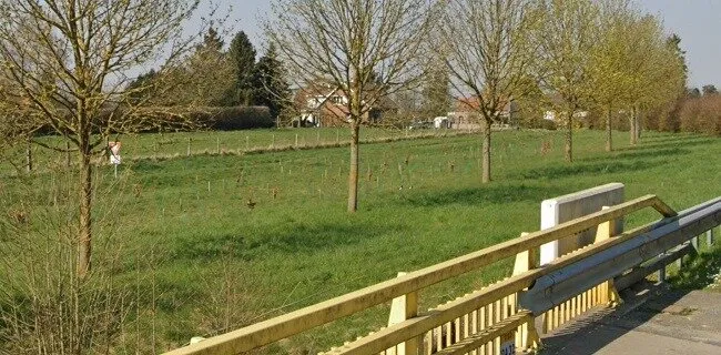 Terrain