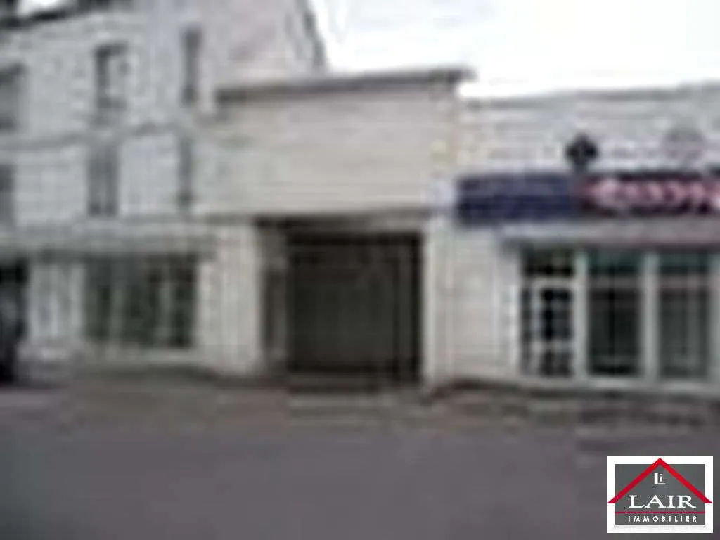 Local d'activité