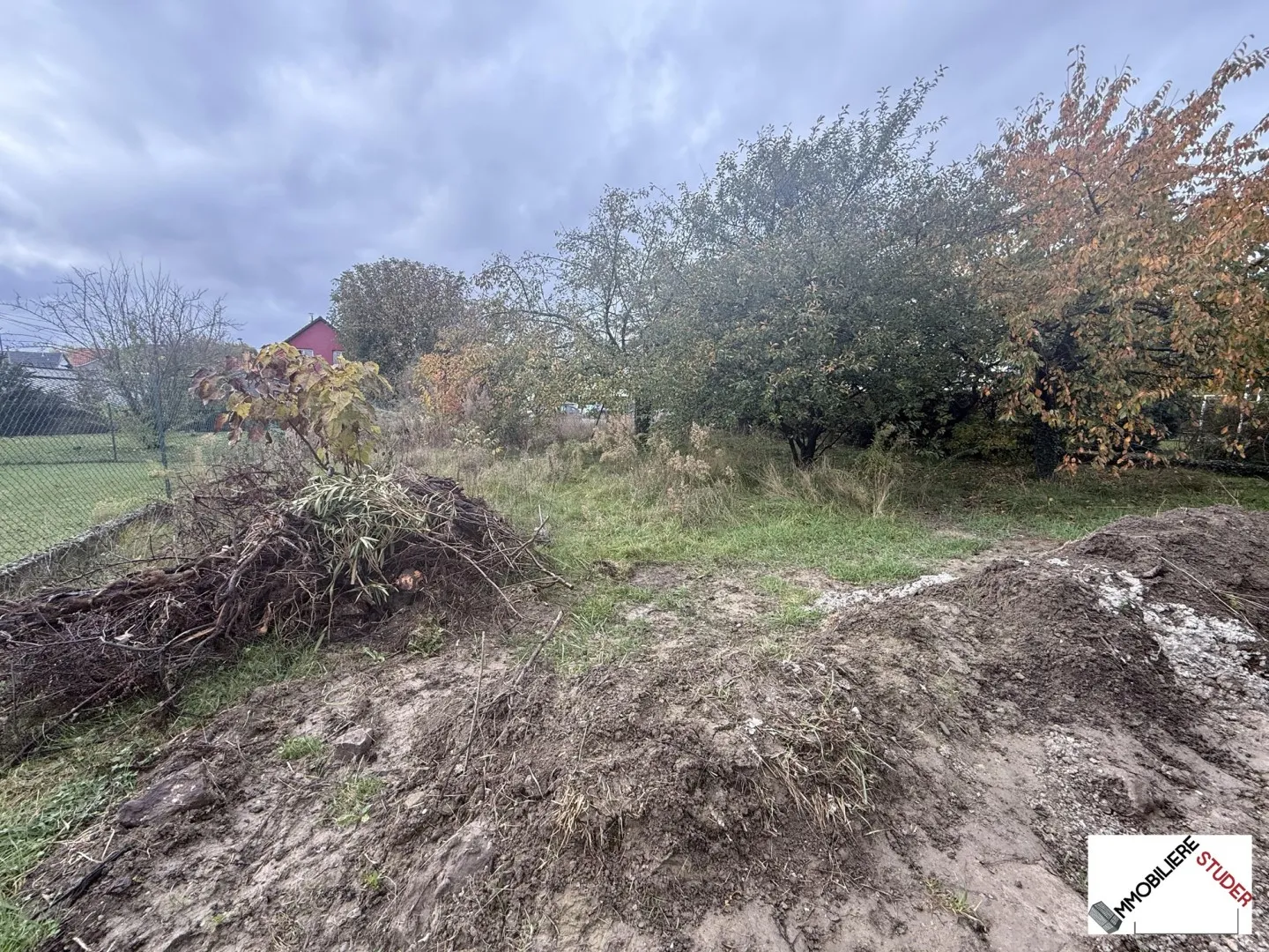 Terrain