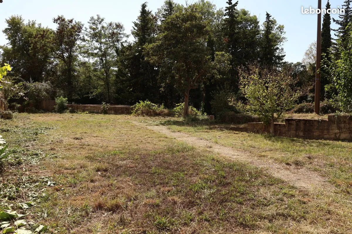 Terrain