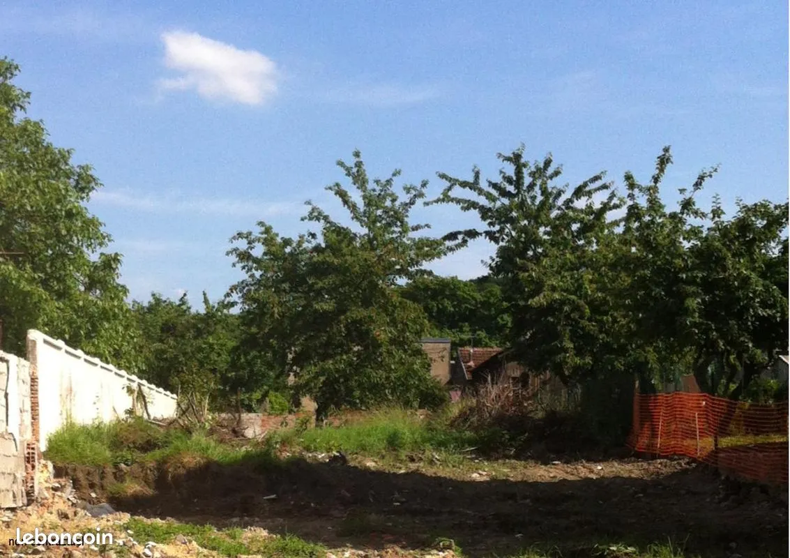 Terrain