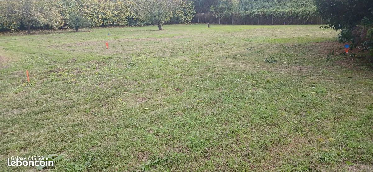 Terrain