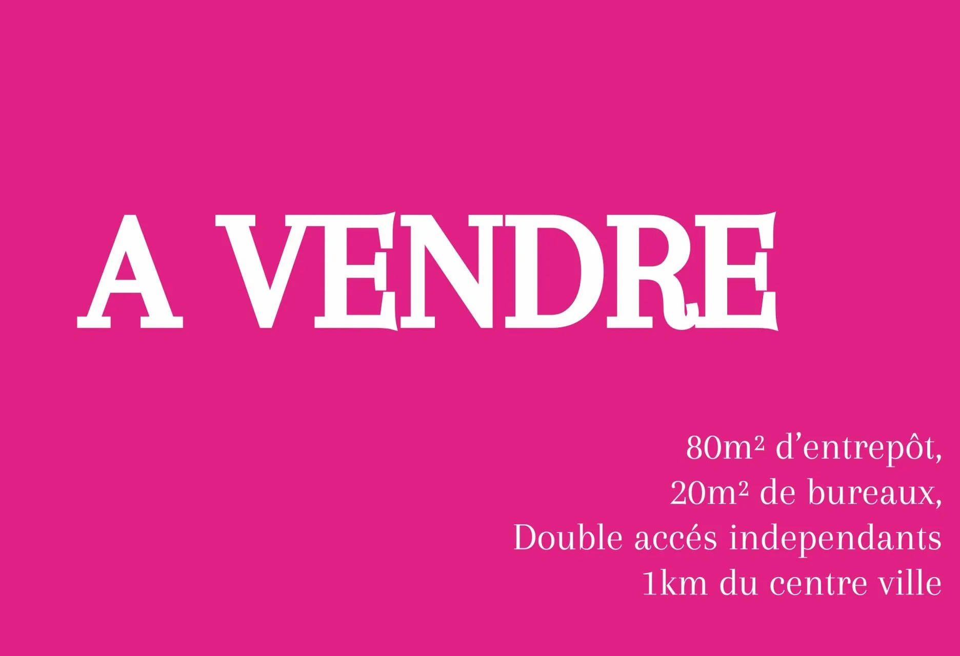 Local d'activité