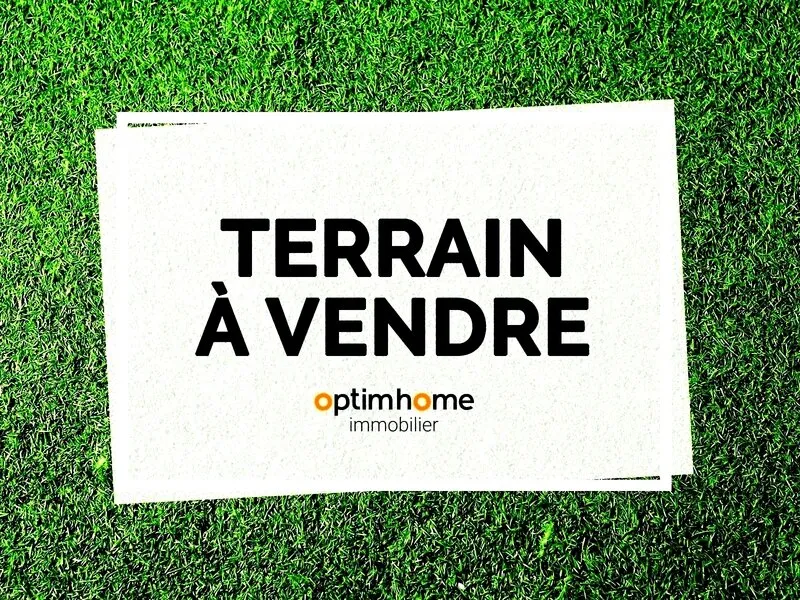 Terrain