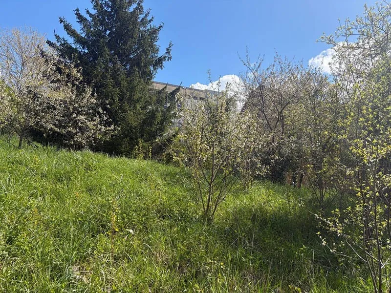 Terrain