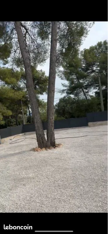 Terrain