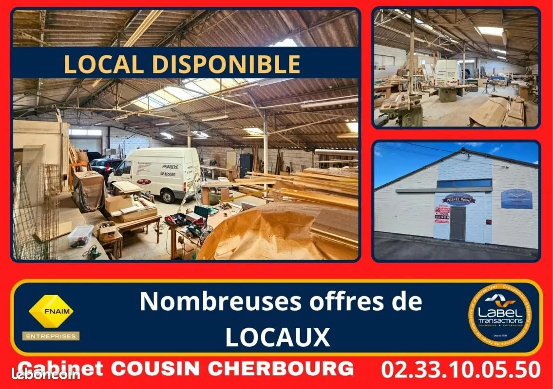 Local d'activité