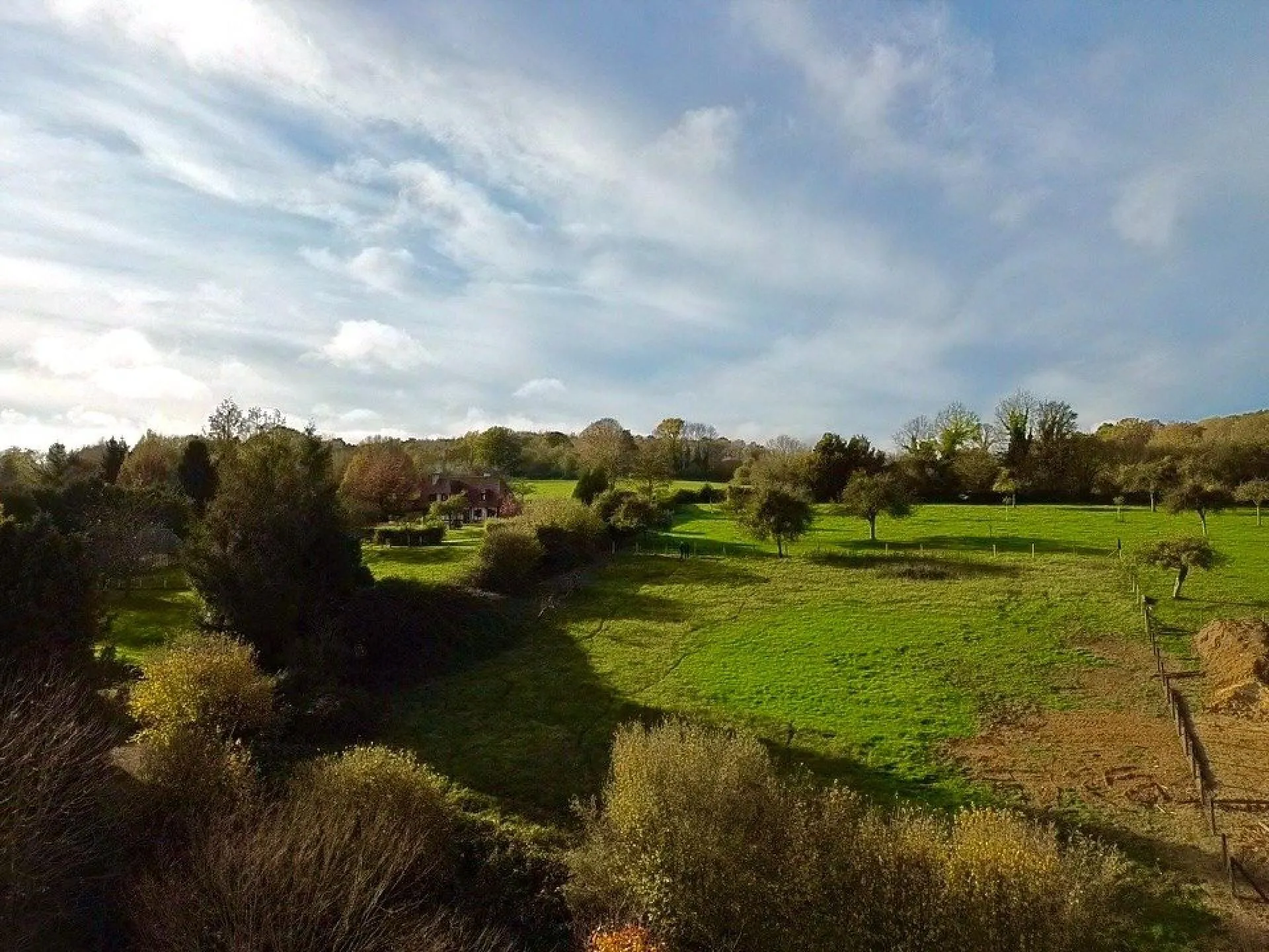 Terrain