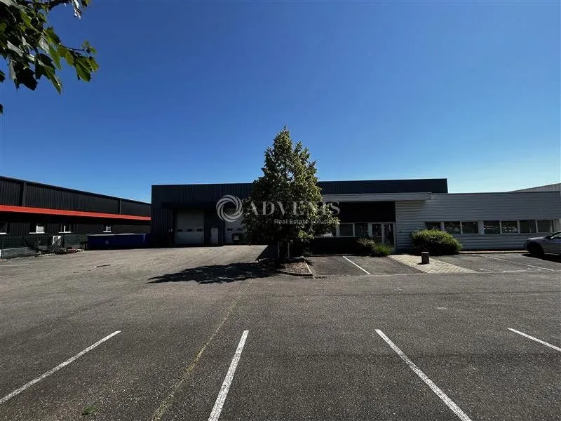 Local commercial