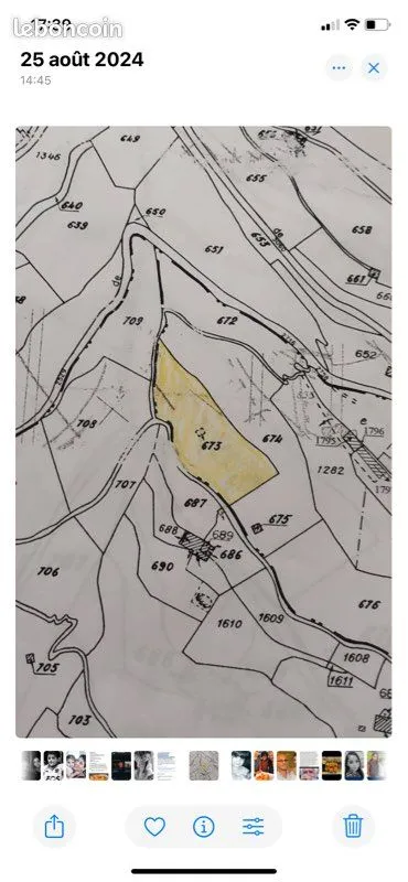 Terrain