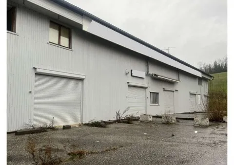 Logistique