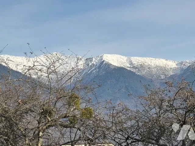 Terrain