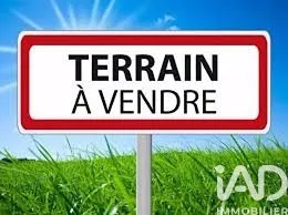 Terrain