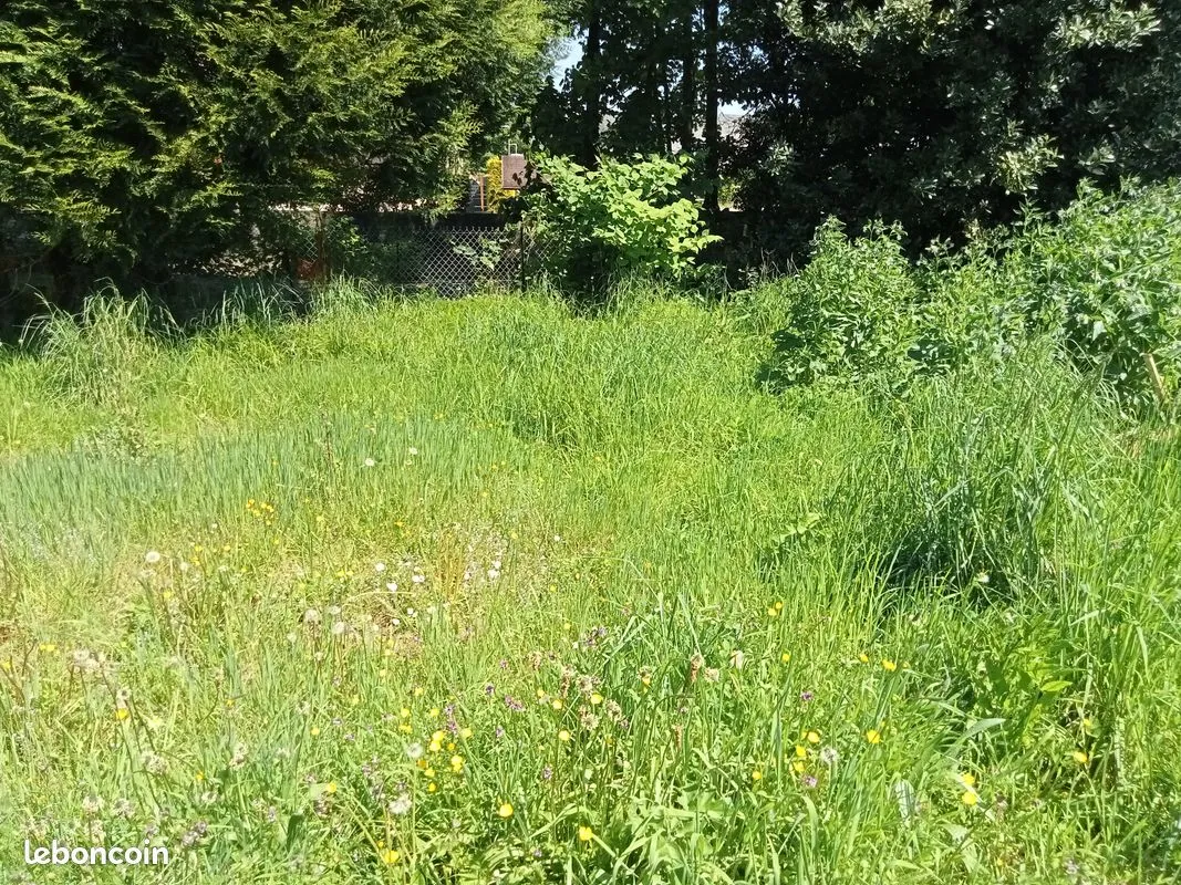 Terrain