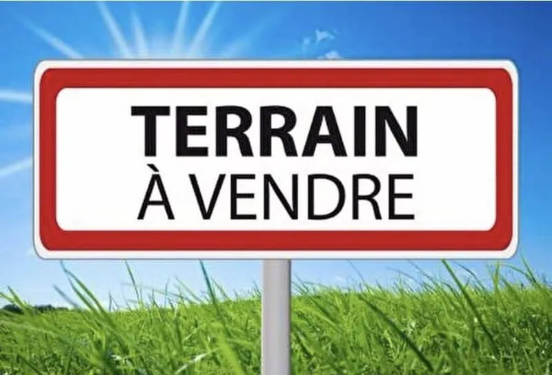 Terrain