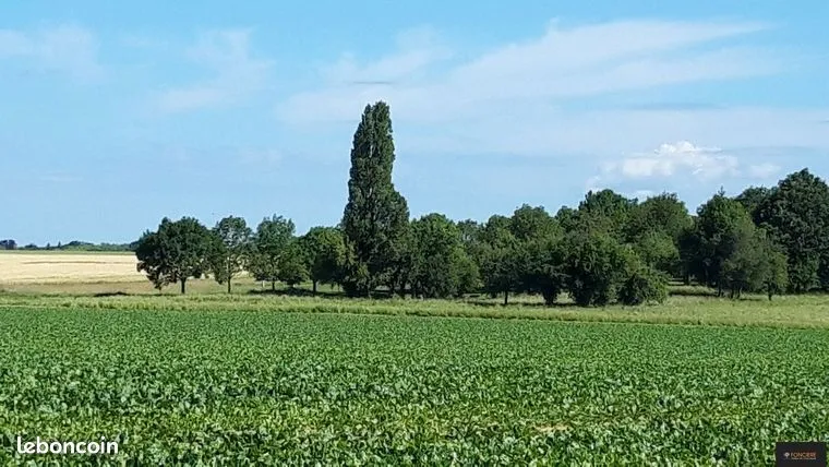 Terrain