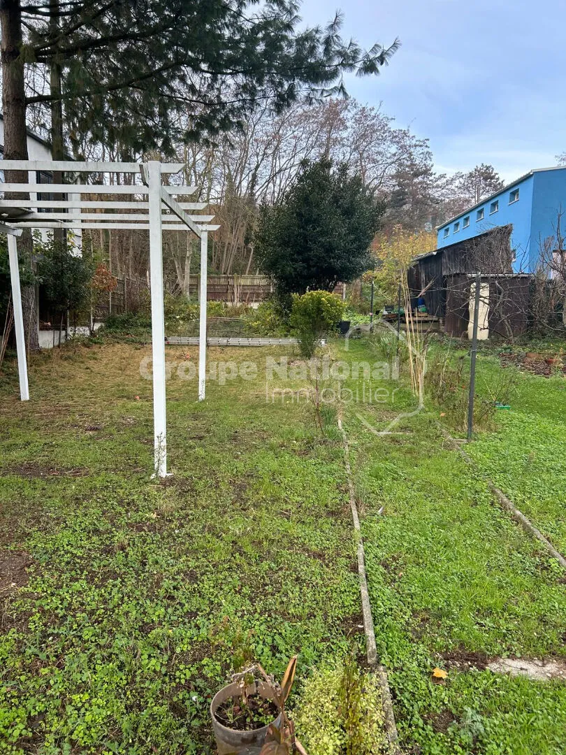 Terrain