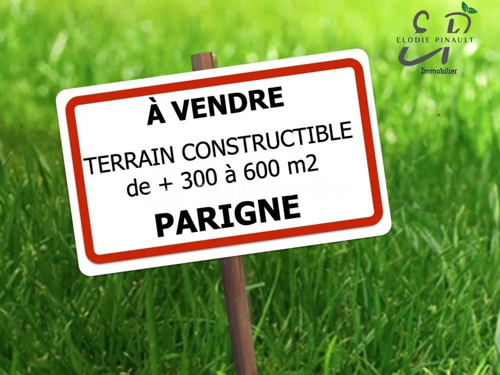 Terrain