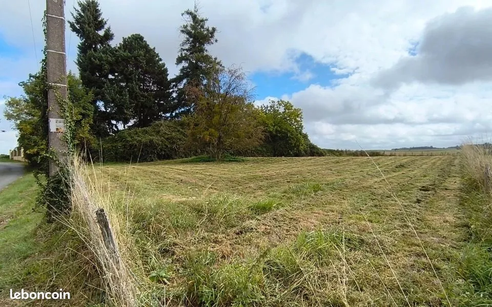 Terrain