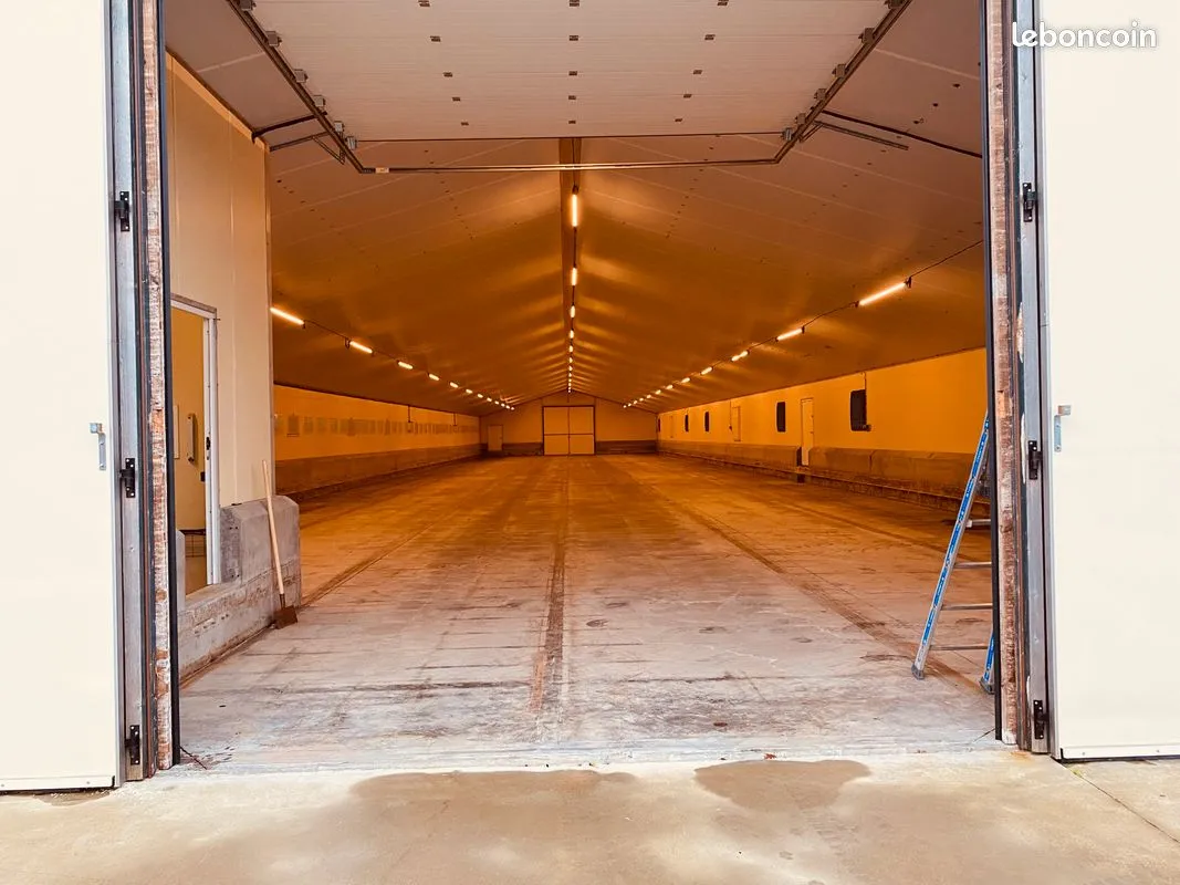 Logistique