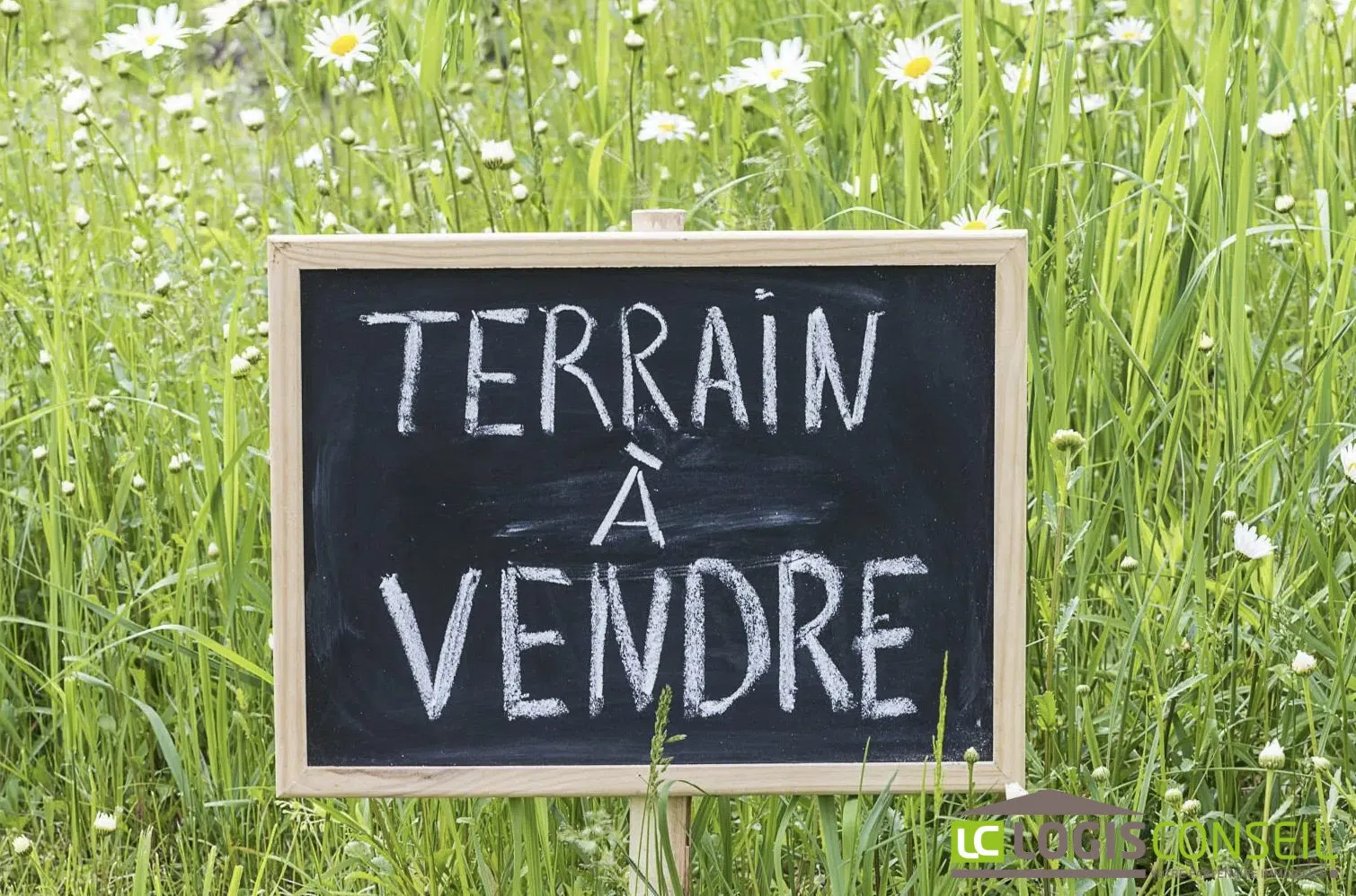 Terrain