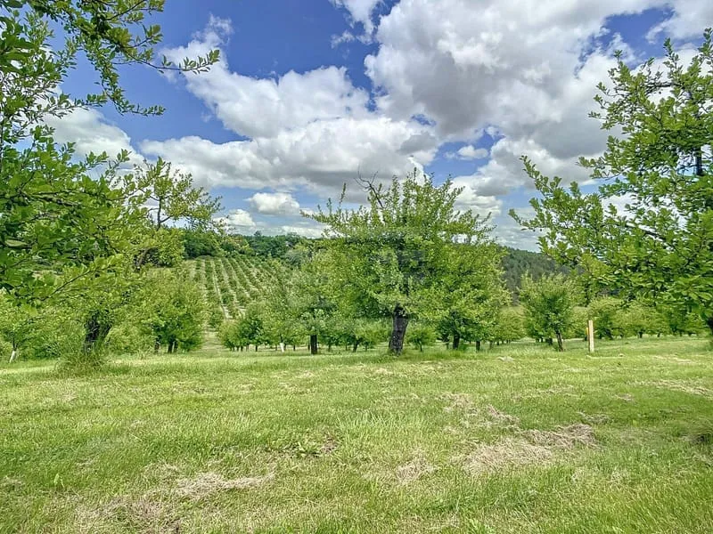 Terrain