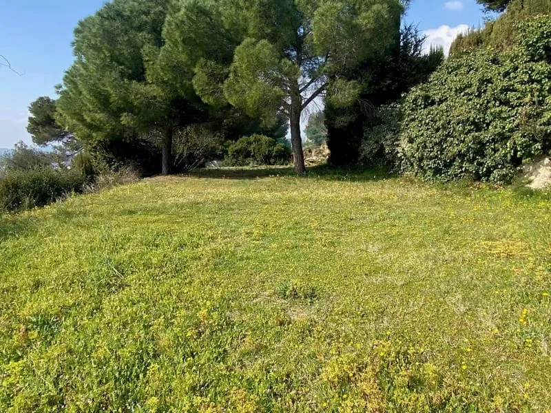 Terrain