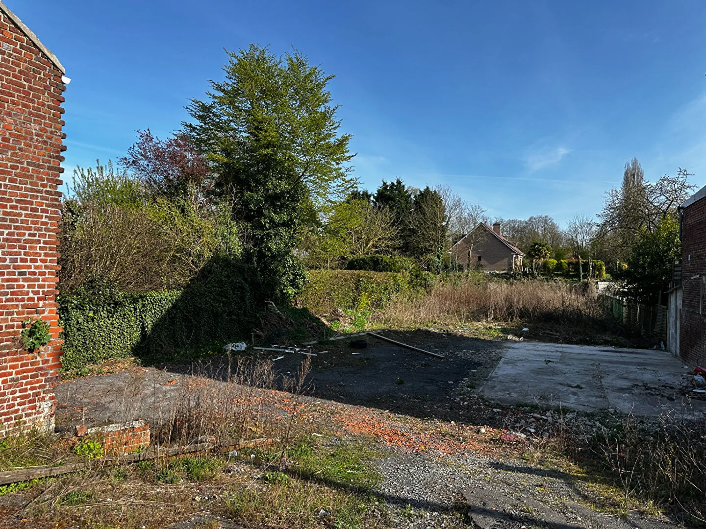 Terrain