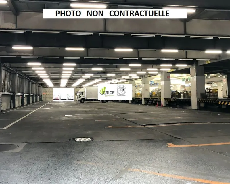 Local d'activité